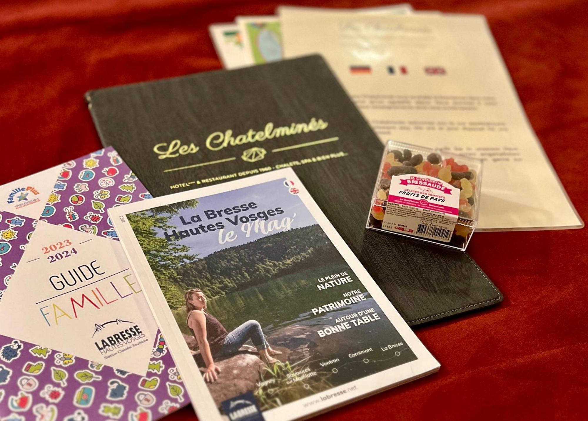 Logis Hotel, Chalets Et Restaurant Les Chatelmines La Bresse Bagian luar foto