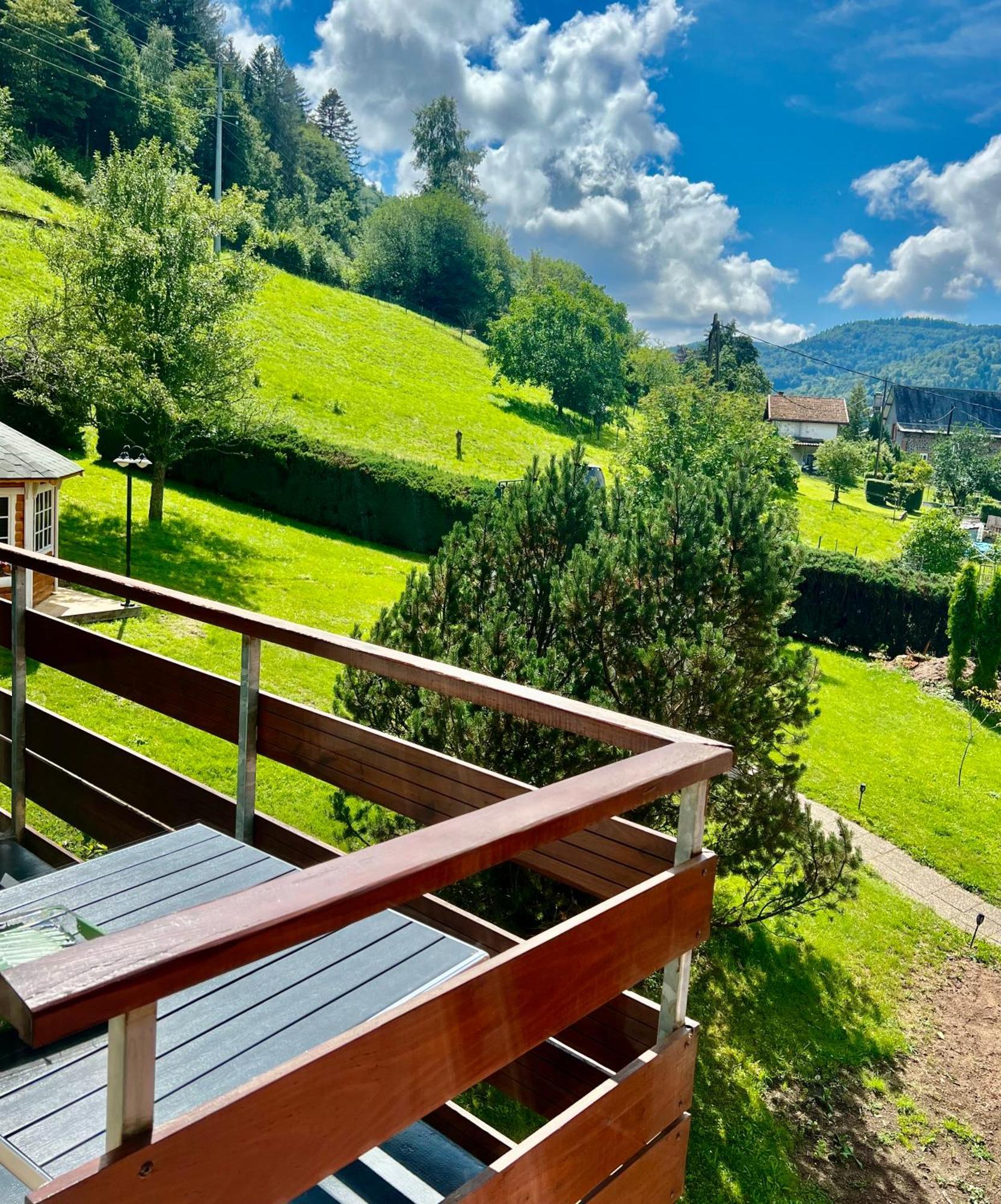 Logis Hotel, Chalets Et Restaurant Les Chatelmines La Bresse Bagian luar foto