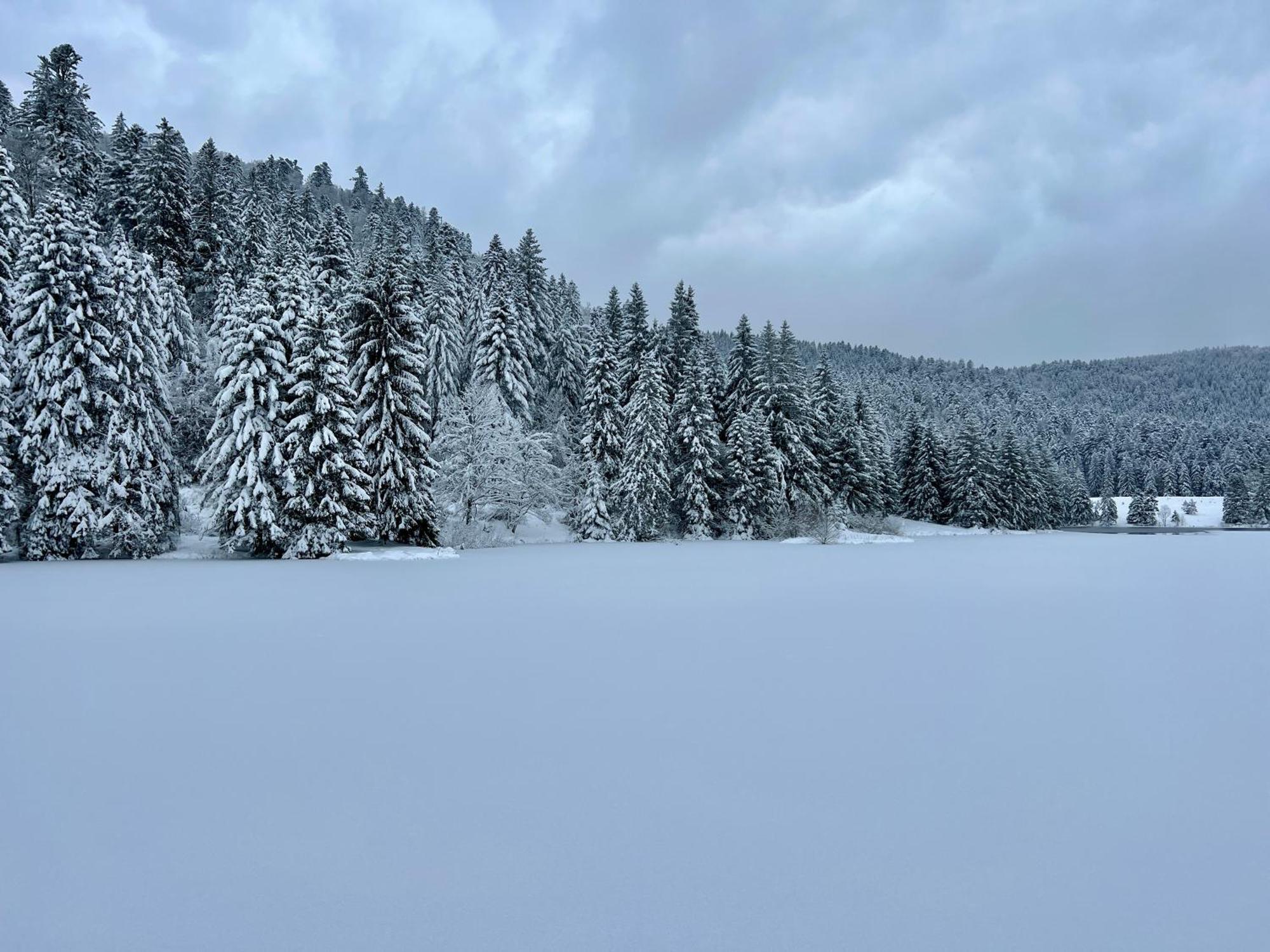 Logis Hotel, Chalets Et Restaurant Les Chatelmines La Bresse Bagian luar foto